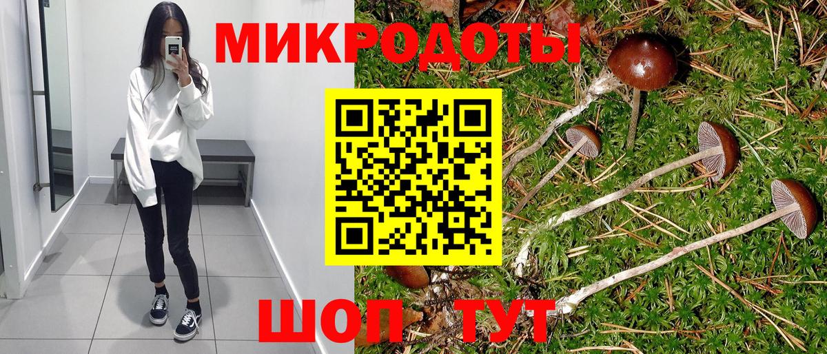 Псилоцибиновые грибы GOLDEN TEACHER Полысаево