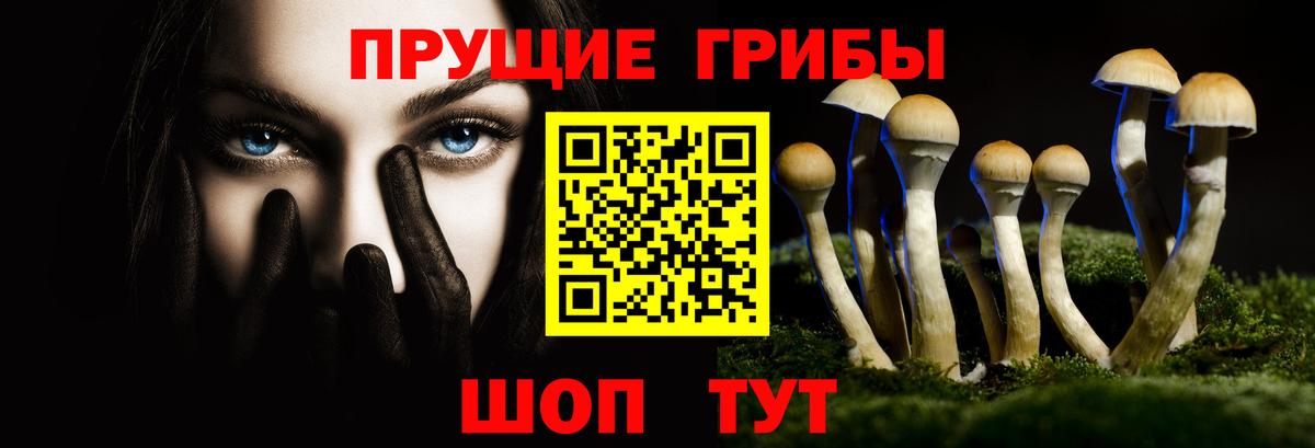 Псилоцибиновые грибы ЛСД  Вход с VPN  Полысаево 